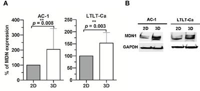 Quantitative Proteomic Profiling Identifies a Potential Novel Chaperone Marker in Resistant Breast Cancer